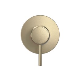 Acabamento Monocomando Chuveiro Redonda Deca You Summer Gold 4993.SM104.CHU.MT Acabamento Monocomando Chuveiro Redonda Deca You Summer Gold 4993.SM104.CHU.MT