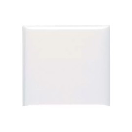 Placa sem Suporte 4x4 Cega Thesi Up Bticino