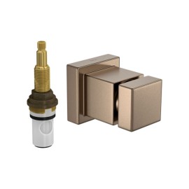 Acabamento Registro Pressão (Chuveiro) Pequeno 1/2 a 3/4 pol Cubo Corten Matte 4916.CT86.PQ.MT