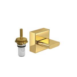 Acabamento Deca Pressão (Chuveiro) ate 1 pol Polo Gold 4916.GL33.PQ Acabamento Deca Pressão (Chuveiro) ate 1 pol Polo Gold 4916.GL33.PQ