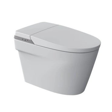 Bacia In-Wash com In-Tank Inspira Branco Brilhante 220V A8030P600L Roca