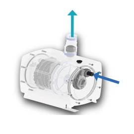SFA SANIFLOOR bomba de sucção para ralo de chuveiro 220V HIFLOOR1BR SFA SANIFLOOR bomba de sucção para ralo de chuveiro 220V HIFLOOR1BR