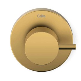 Acabamento De Registro Base Reforma 1/2, 3/4, 1 Basic Gold Matte (Compatível Com A Base De Registro Deca E Similares De 16 Estrias) B5051C7R1B