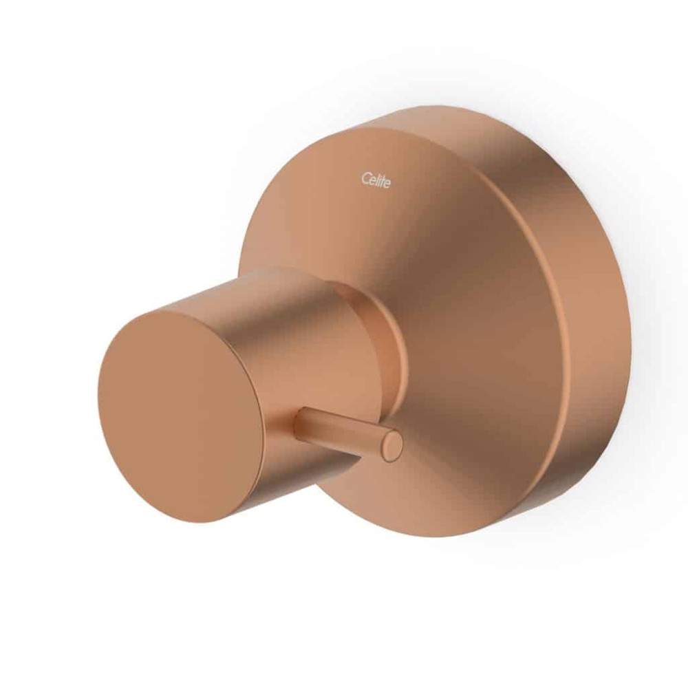 Acabamento De Registro Base Reforma 1.1/4 E 1.1/2 Basic Rose Gold Matte B5040C7R2B