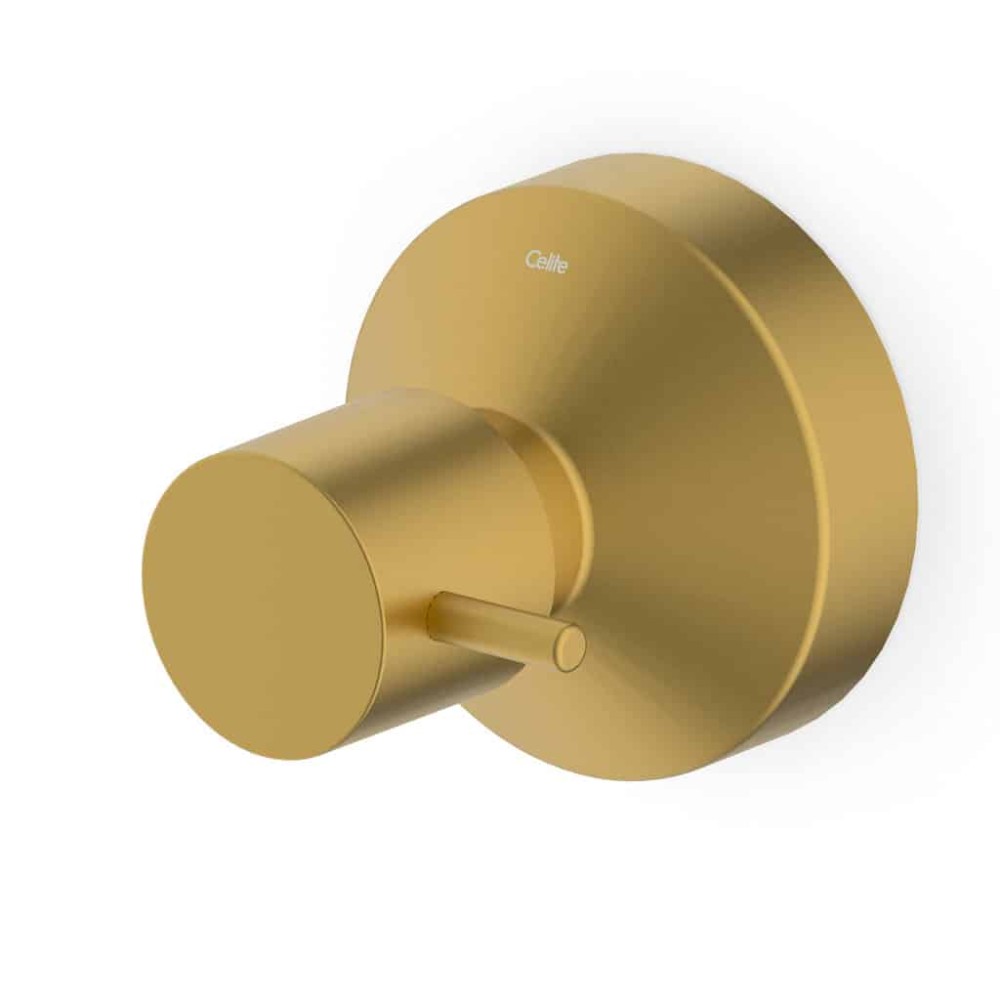 Acabamento De Registro Base Reforma 1.1/4 E 1.1/2 Basic Gold Matte B5050C7R1B