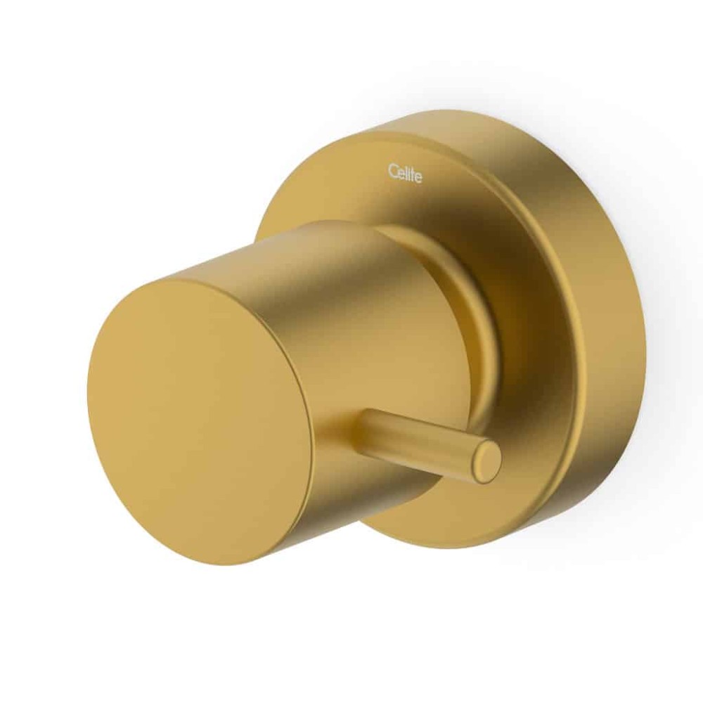 Acabamento De Registro Base Reforma 1/2, 3/4, 1 Basic Gold Matte (Compatível Com A Base De Registro Deca E Similares De 16 Estrias) B5051C7R1B