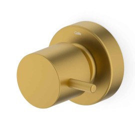 Acabamento De Registro Base Reforma 1/2, 3/4, 1 Basic Gold Matte (Compatível Com A Base De Registro Deca E Similares De 16 Estrias) B5051C7R1B