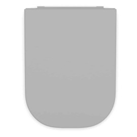 Assento Termofixo Amortecido Gap Stone 3239880070508 Roca